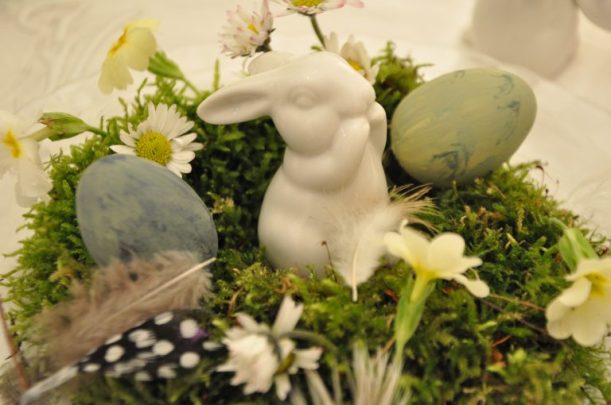 zoom lapin en mousse