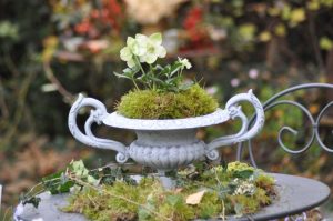 vase médicis et roses de noel