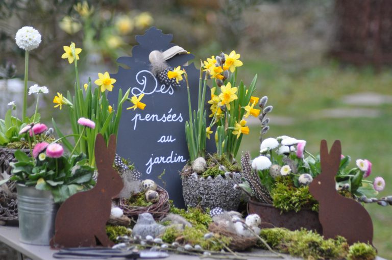 des pensées au jardin