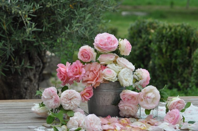 bouquet de roses et olivier