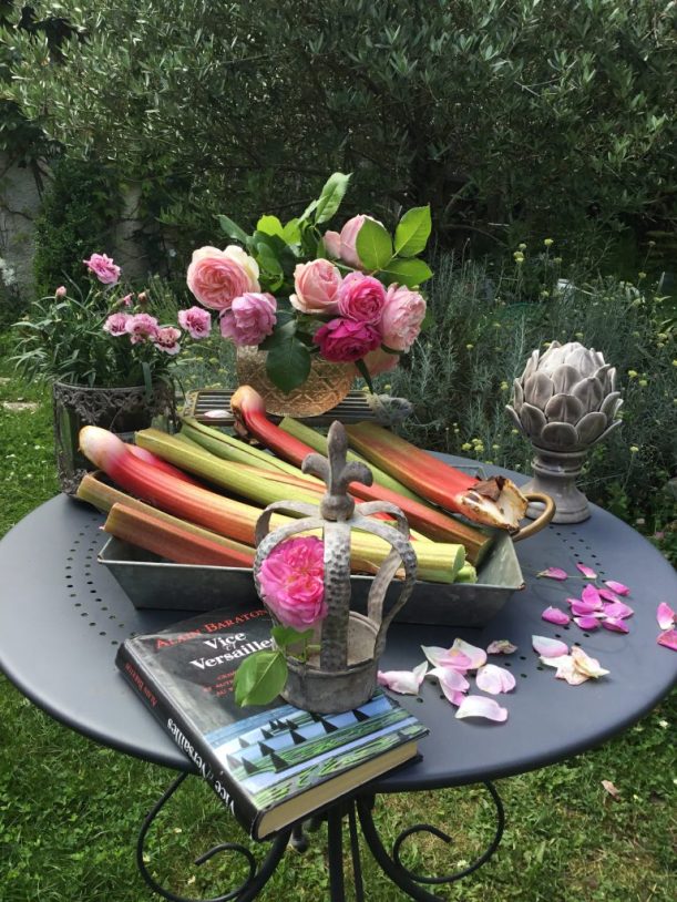 rhubarbe royale