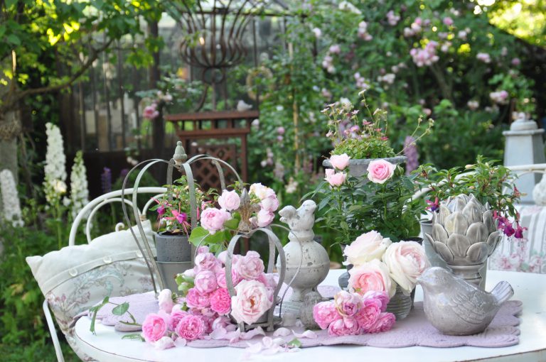 splendide petit paradis de roses