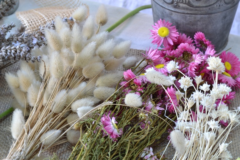 fleurs séchées