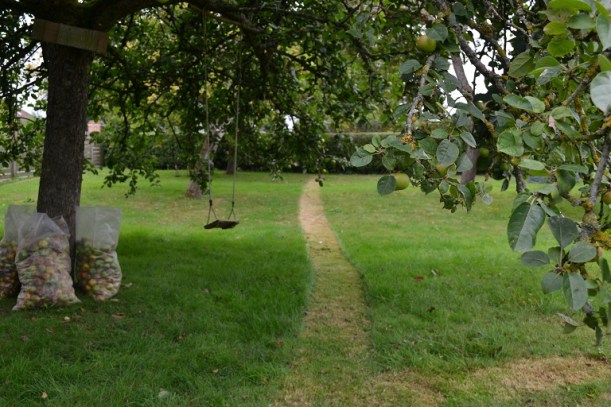 le chemin dans la pelouse