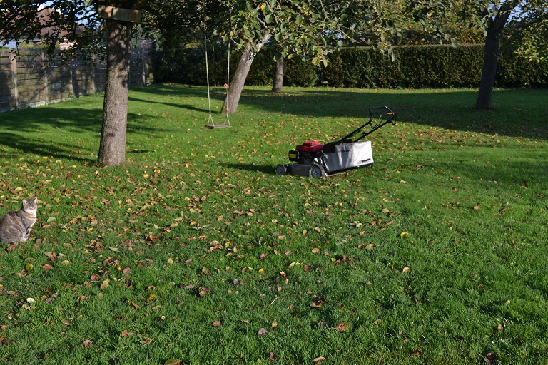 tondeuse au soleil d'automne