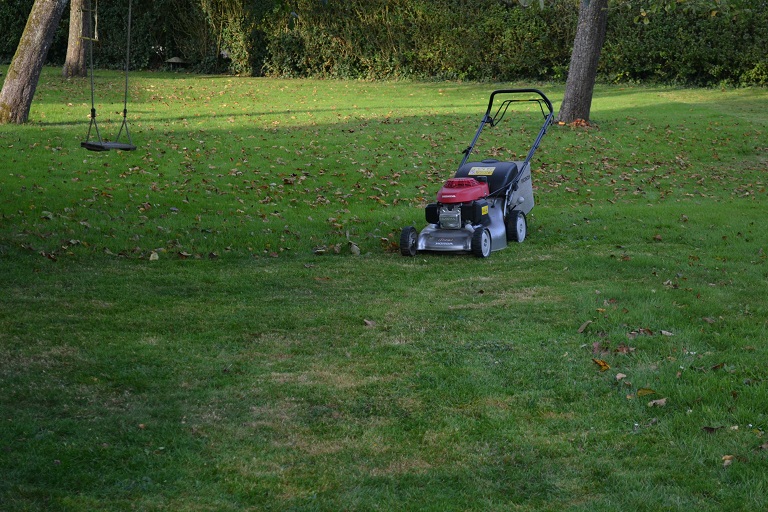 tondeuse honda Izy sur pelouse