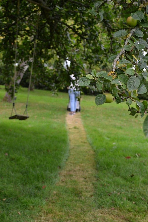 tonte dans les pommiers