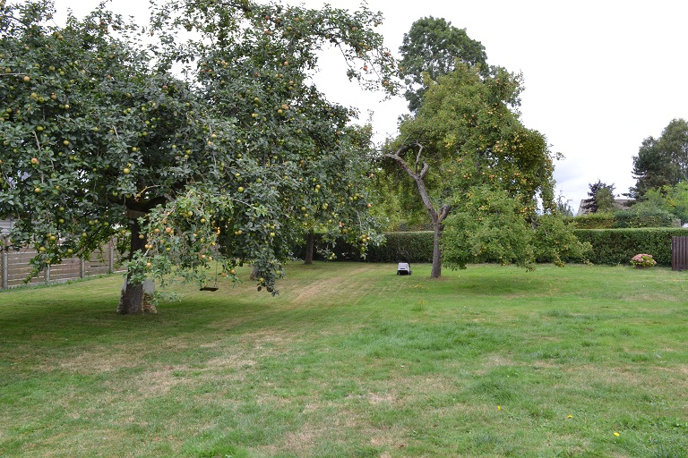 tonte dans les pommier et différente hauteur de coupe