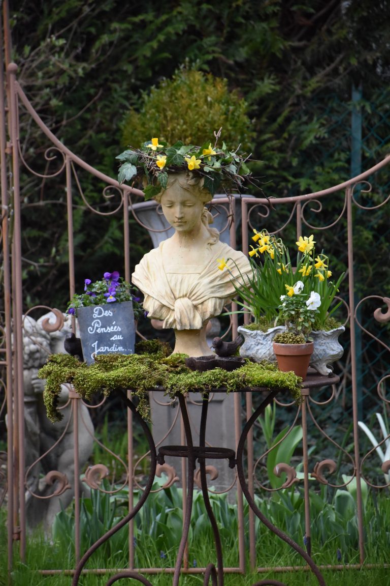 aurore couronnée de lierre