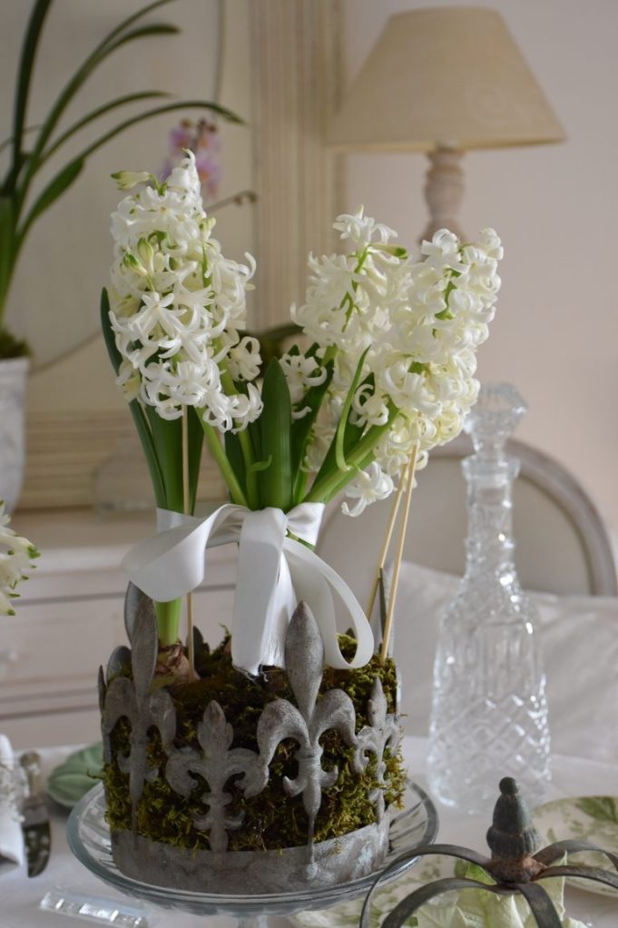 jacinthes et couronne