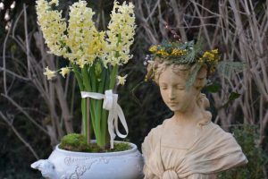 Buste et jacinthes vanille