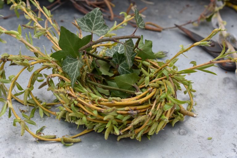 Nid de Pâques avec du saule