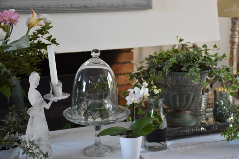 Orchidée et cloche avec lierre