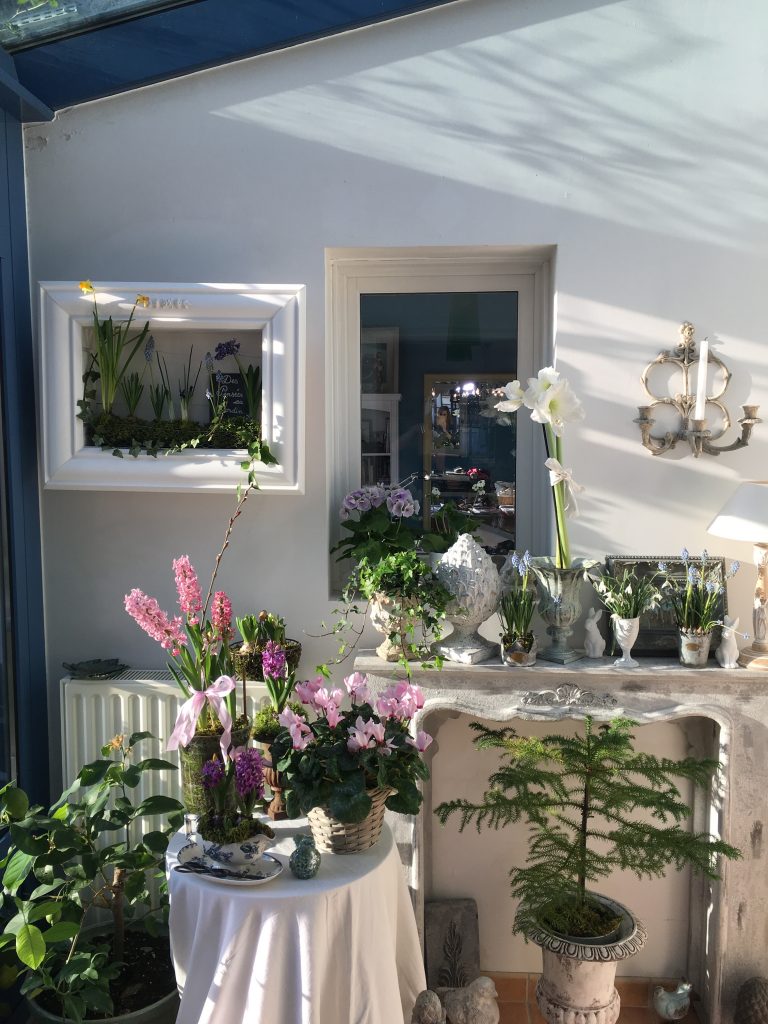 Plantes fleuries préférées des français