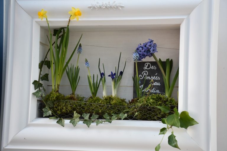 Tableau fleuri jacinthe bleue