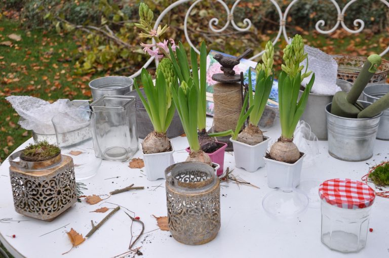 Contenants pour jacinthes