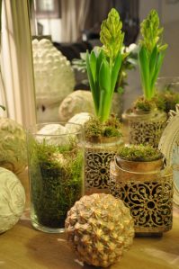 Jacinthes et photophore doré